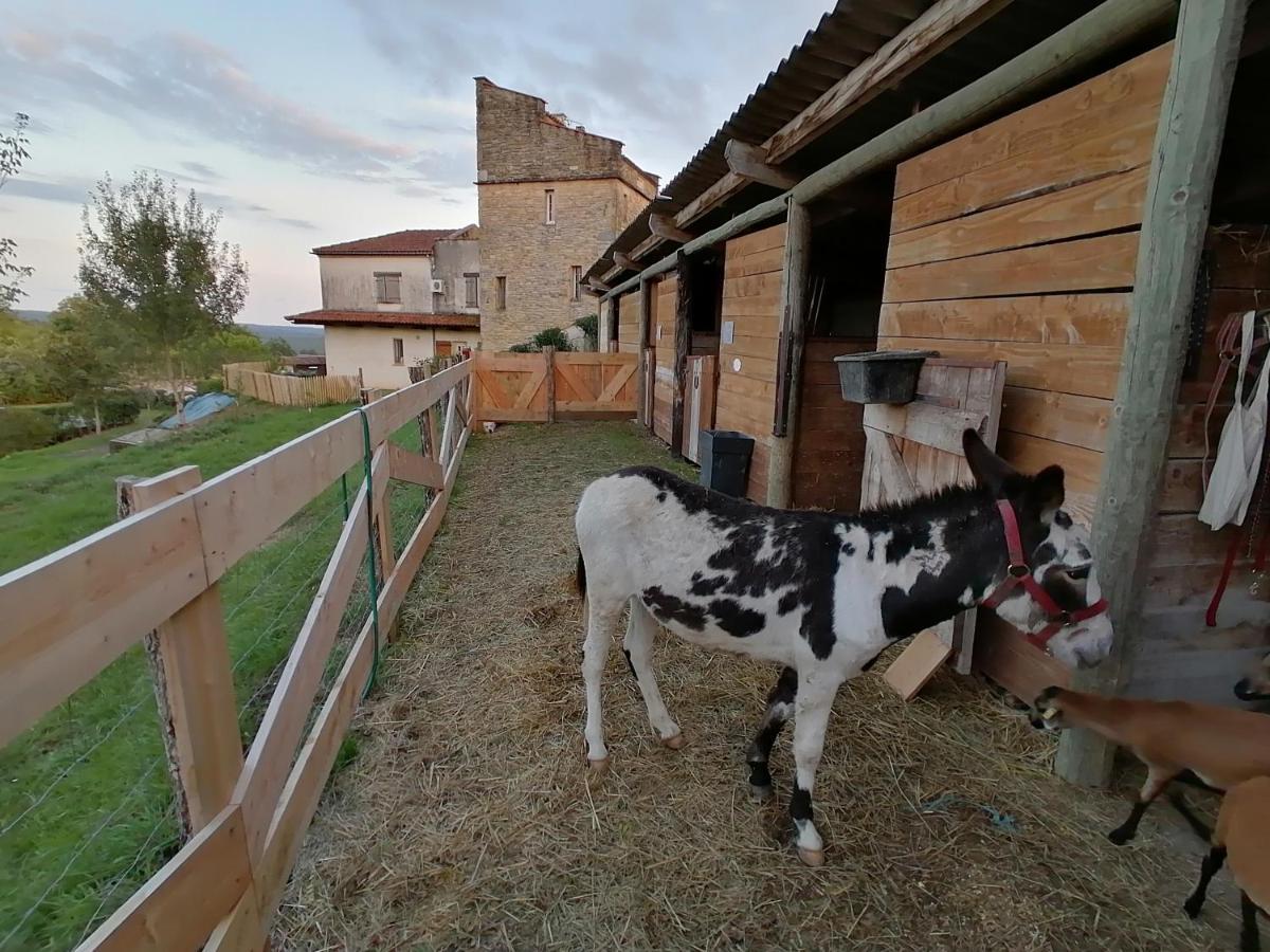 Villa Les Hauts Vallons Puylaroque 外观 照片