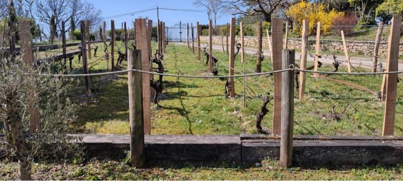 Villa Les Hauts Vallons Puylaroque 外观 照片